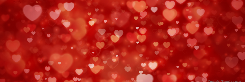 MaryaHricko's profile banner image