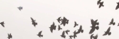Finn5SOS's profile banner image
