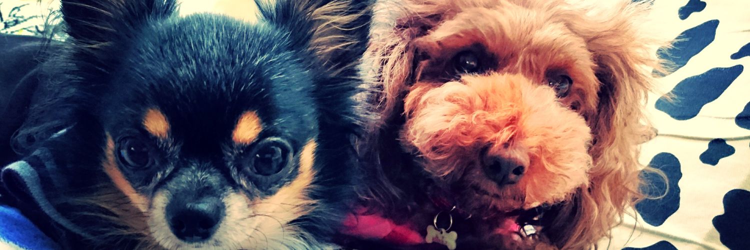LxHy's profile banner image