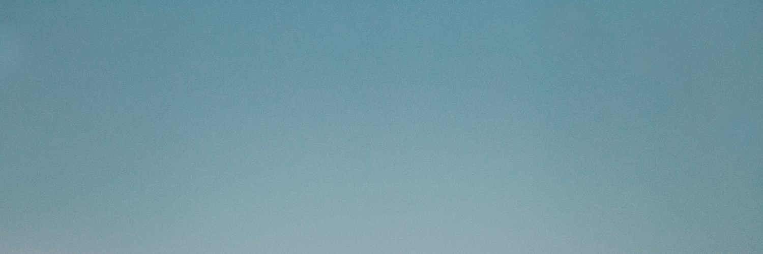 Linette Damsted banner