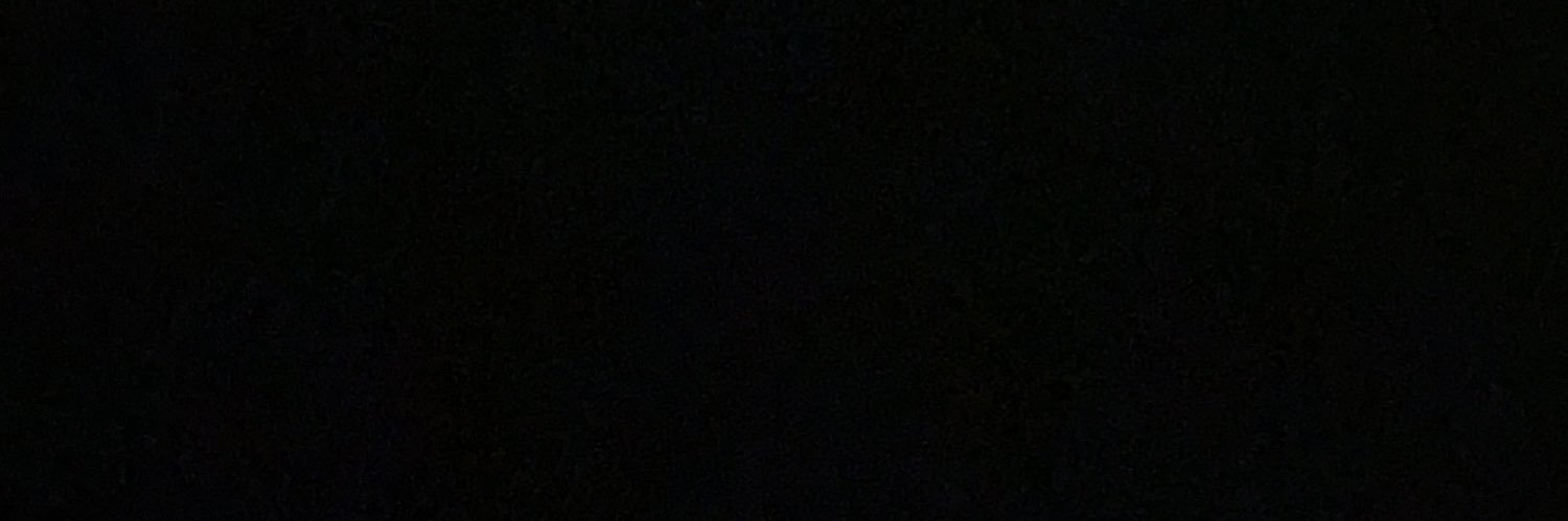 vongbooty's profile banner image