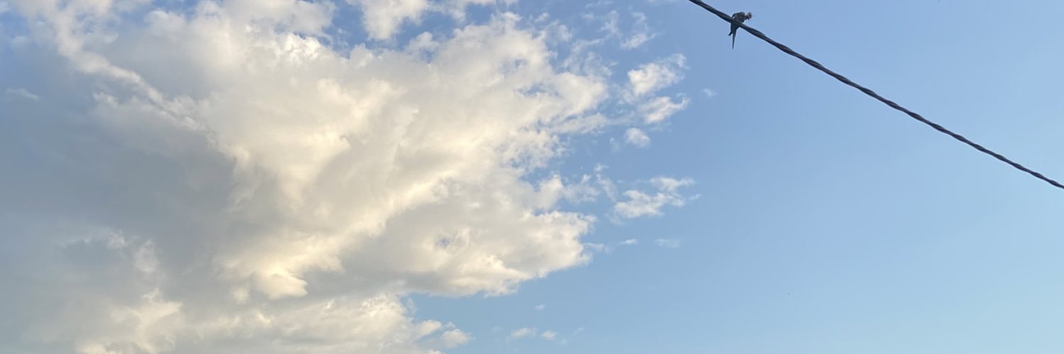 xblck73's profile banner image