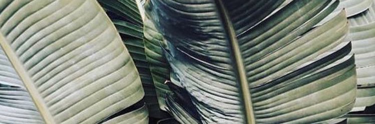amycogden's profile banner image