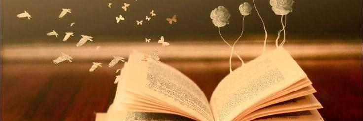 mrs_romagna's profile banner image