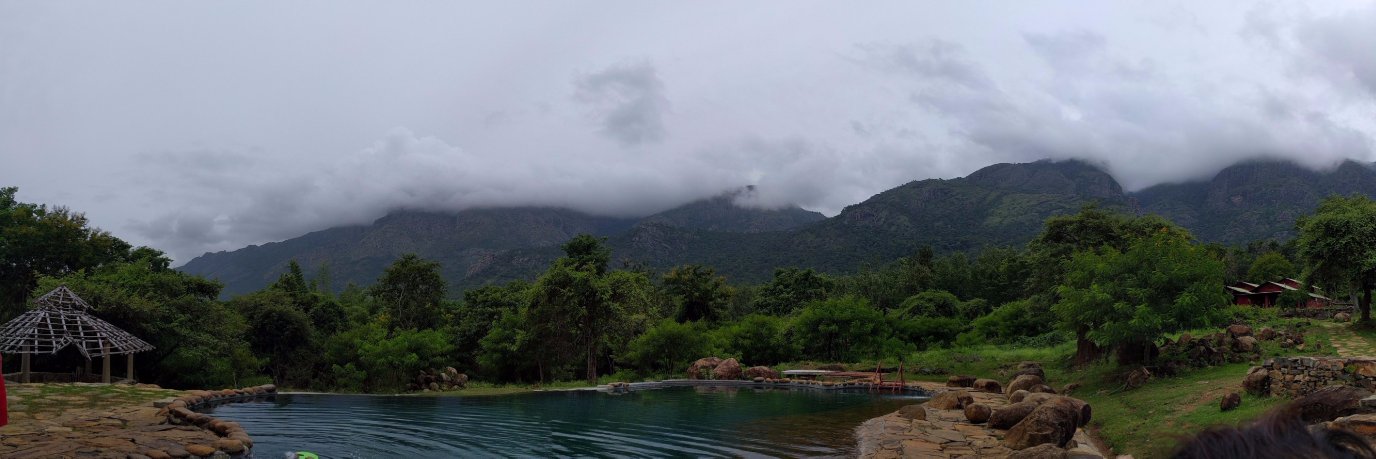 Radhika Ajgaonkar banner