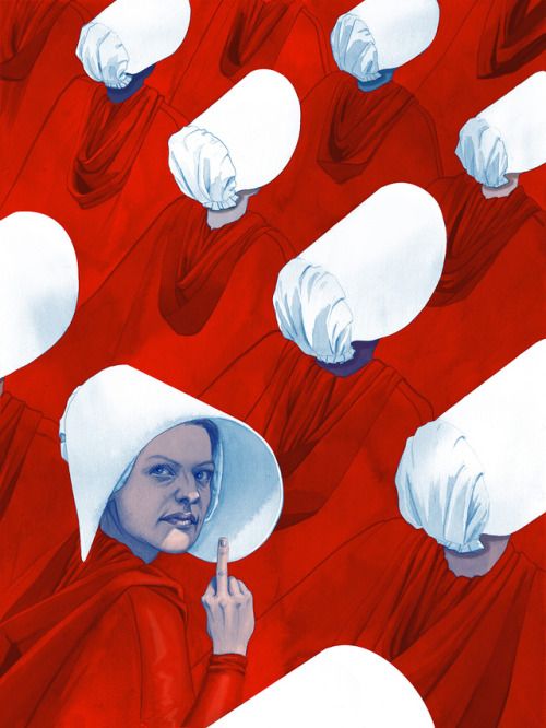 SofiLabruji's profile banner image