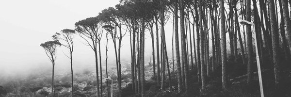 blydesmit Profile Banner