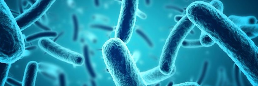 Center for Microbiome Informatics and Therapeutics banner