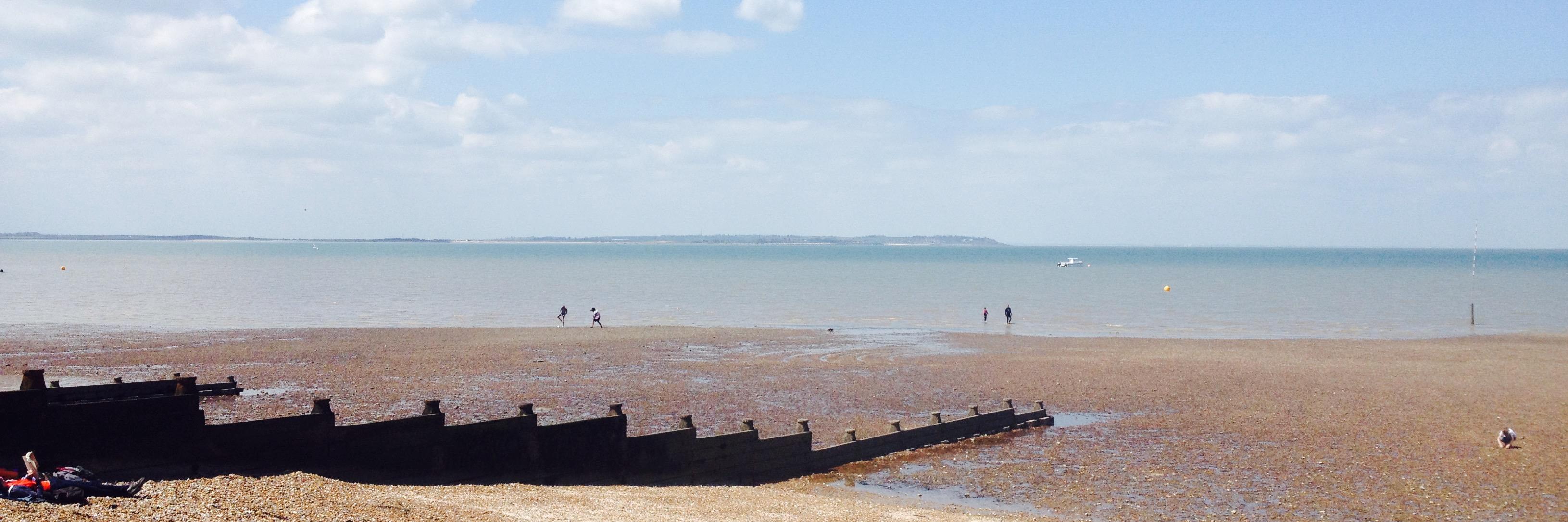 Eleanor Cocks banner