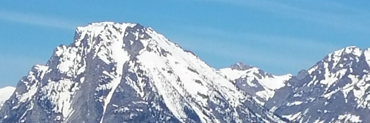 BISFASwanson's profile banner image