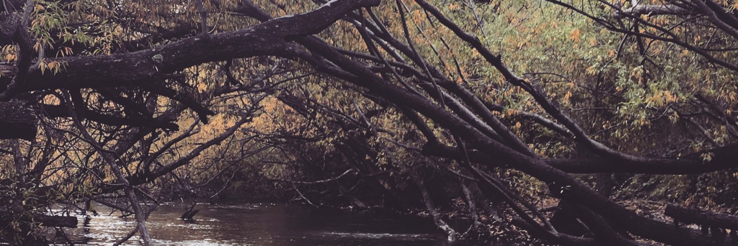 mokenesea's profile banner image