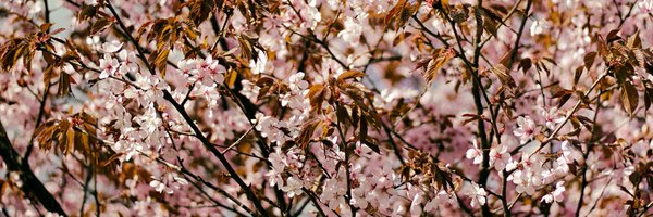 AJOatway Profile Banner