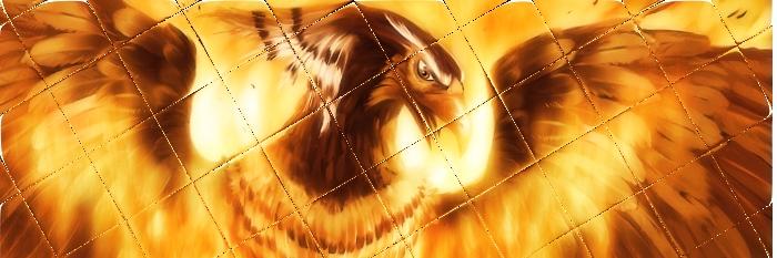 LSDRP's profile banner image