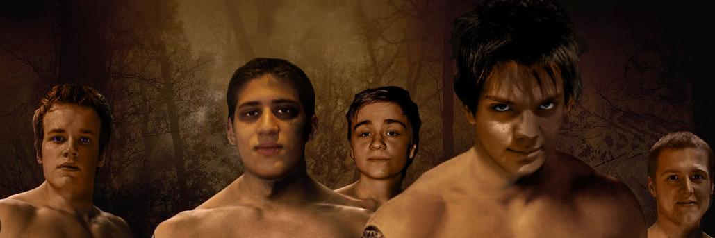 SnudeDans's profile banner image