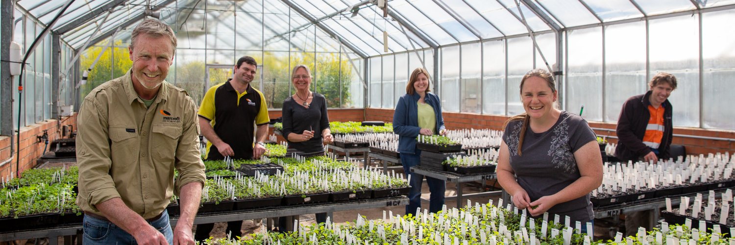 Marcroft Grains Pathology banner