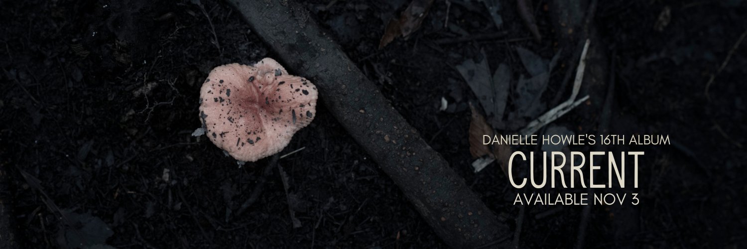 Danielle Howle banner