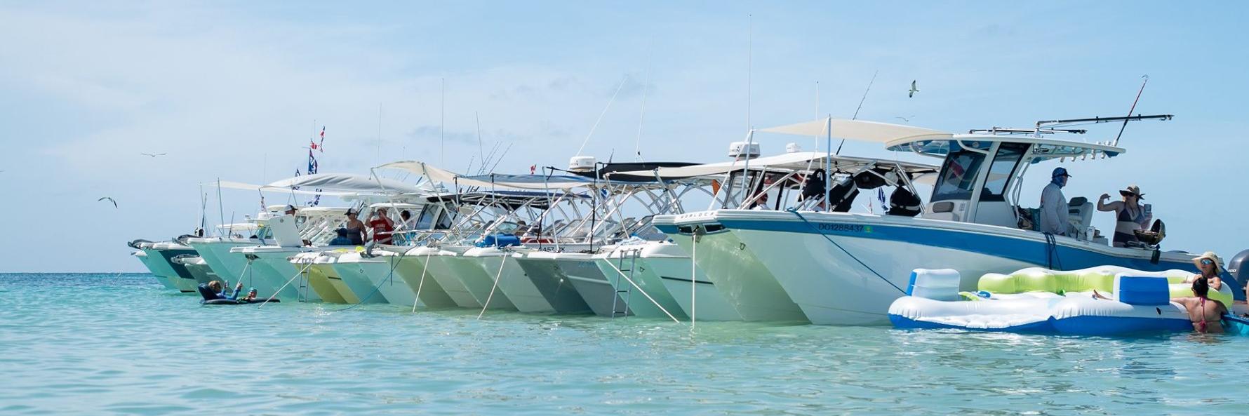 World Cat Boats banner