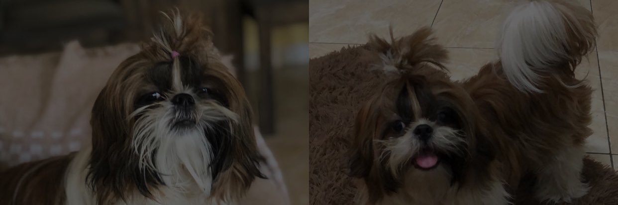 Amandalimaaaaa's profile banner image