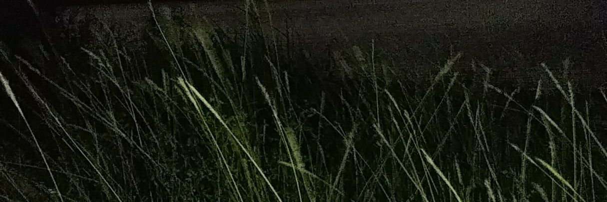 baabymelmel's profile banner image