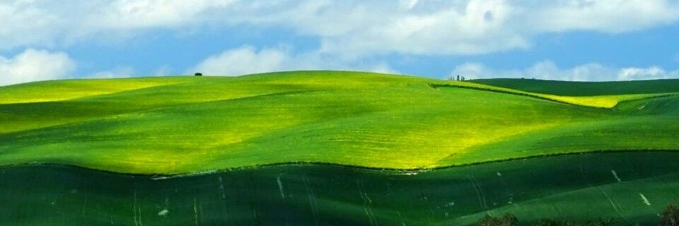 aslman_adba's profile banner image