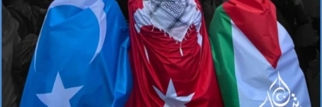 Hsyn_yldiz's profile banner image