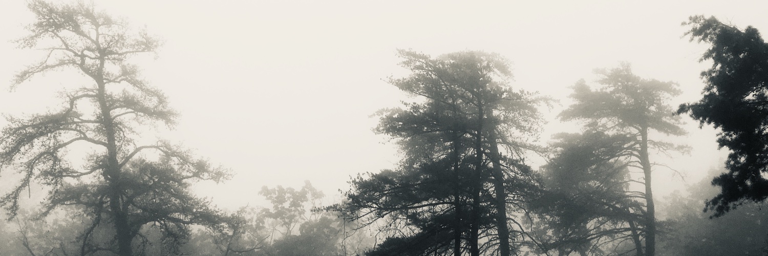 GPCarlinJr's profile banner image