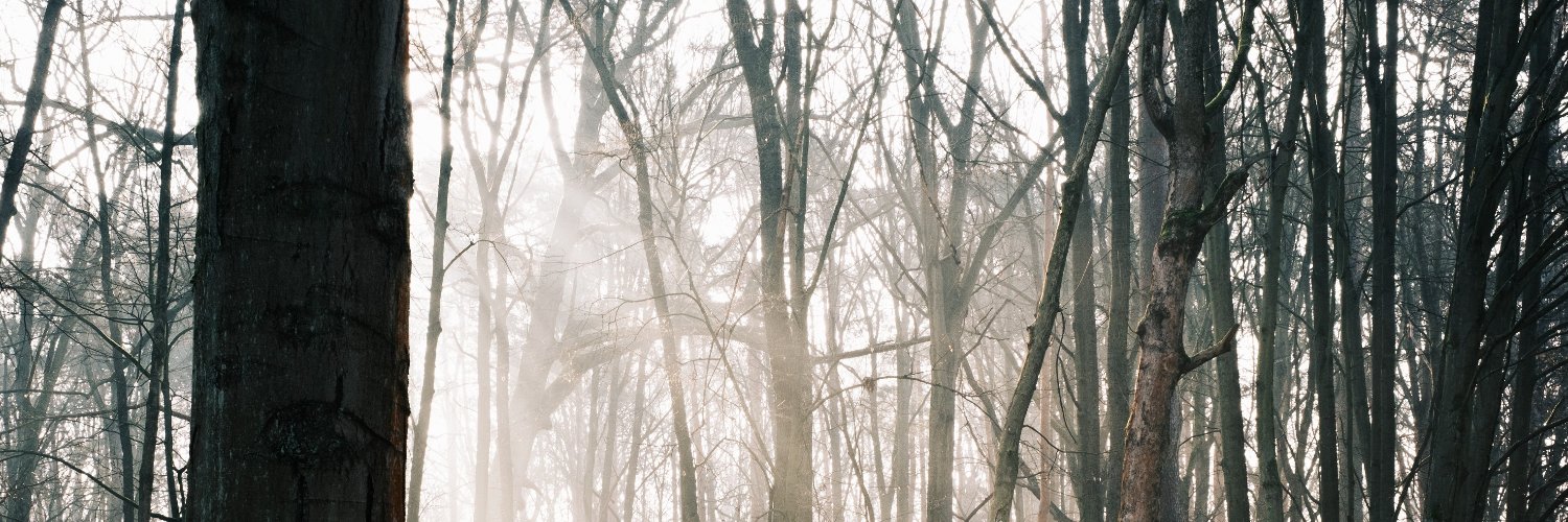 Beneath the Woods banner