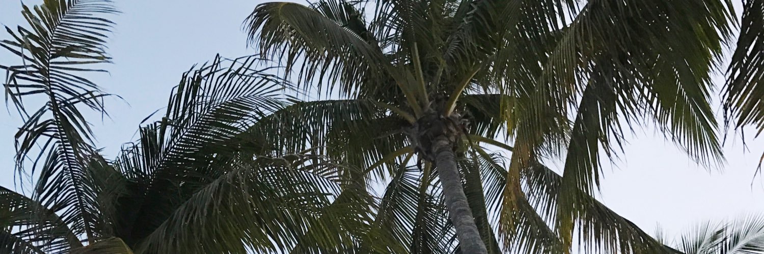 itisahollyday's profile banner image