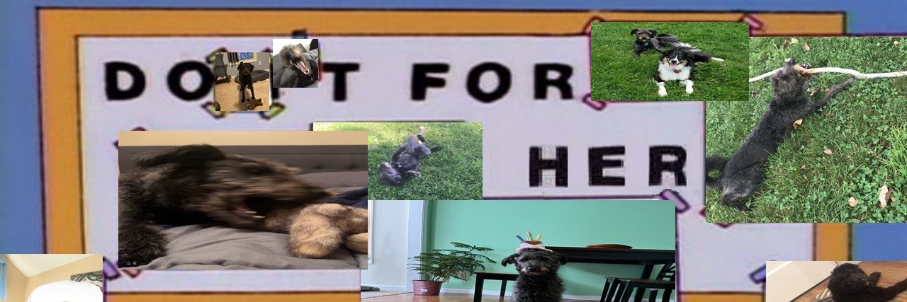 Ryan banner