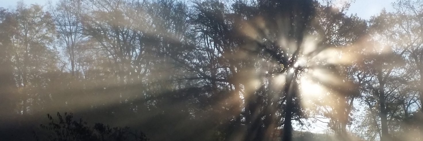 brendene123's profile banner image
