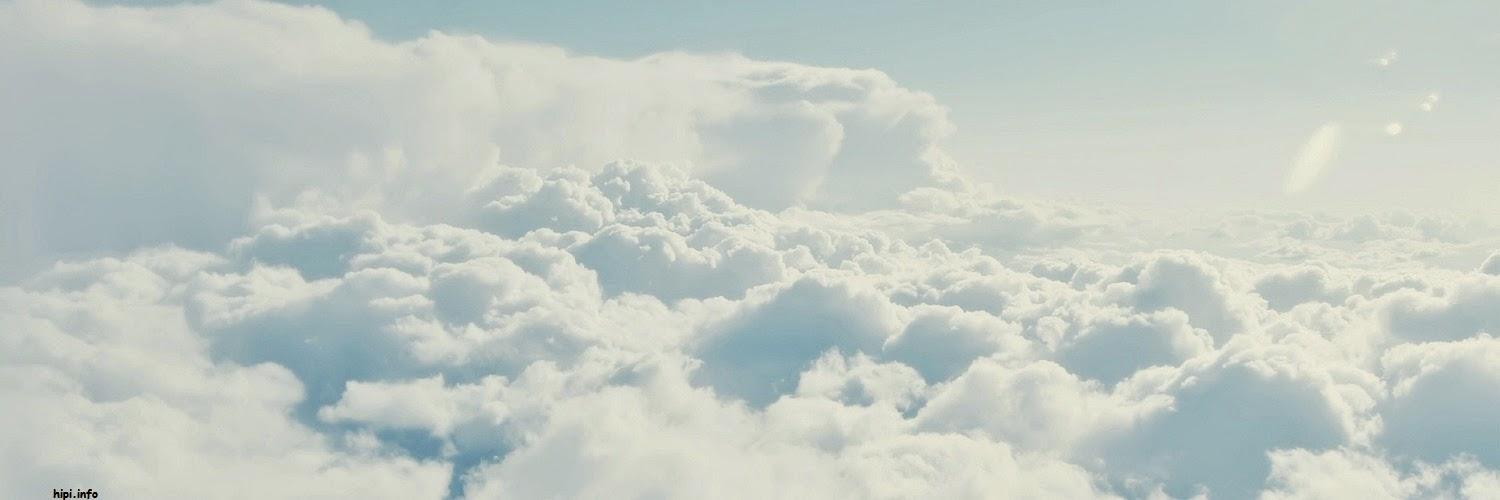 alicte998's profile banner image