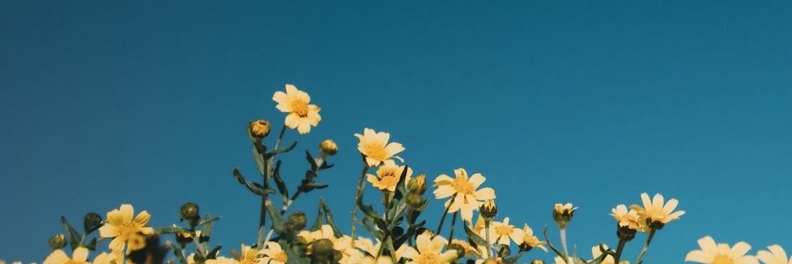Geo_ffrey01's profile banner image