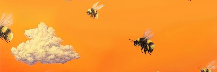 notfrs's profile banner image