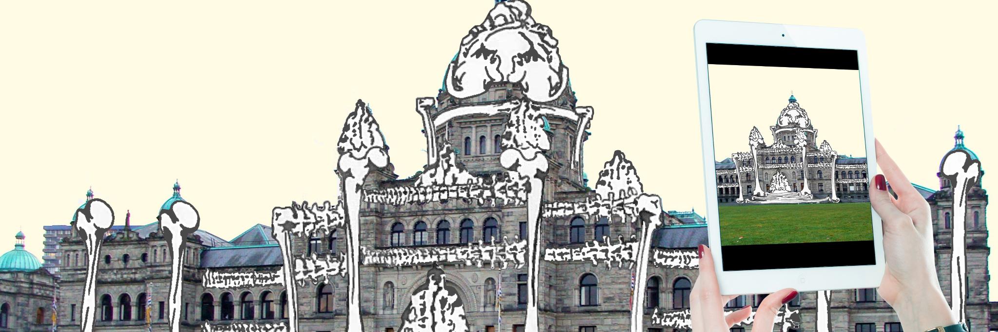 Dr. Katherine Cook banner