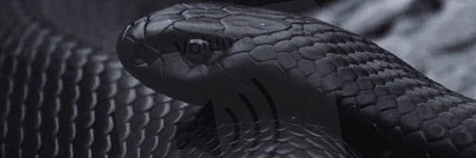 BlackAdder001's profile banner image