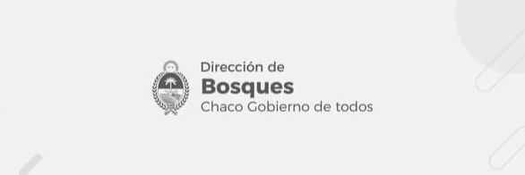 Dirección de Bosques banner