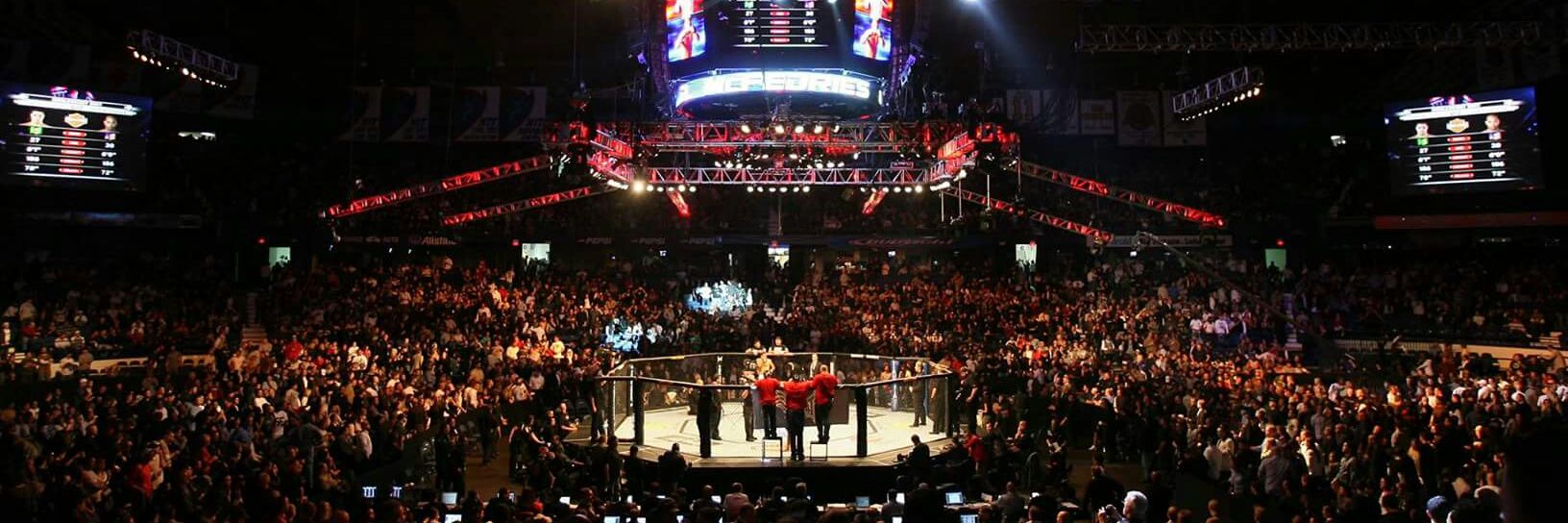 TopGame Management banner