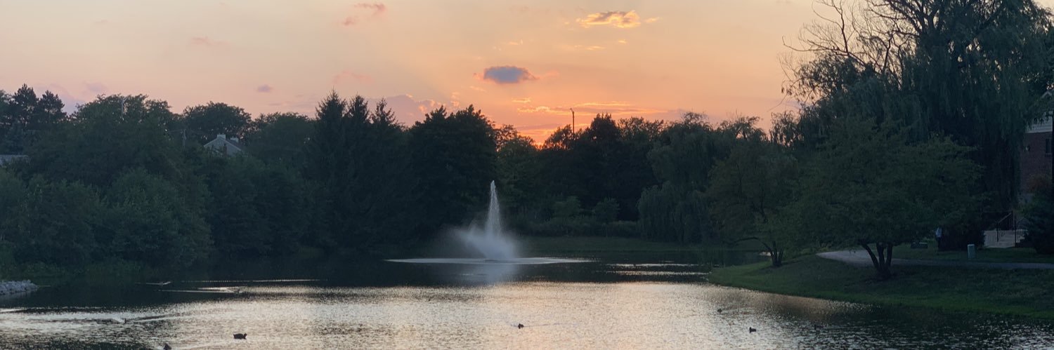 LeoraNYC's profile banner image