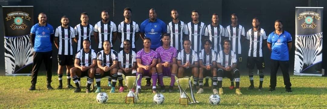 PHC Zebras banner