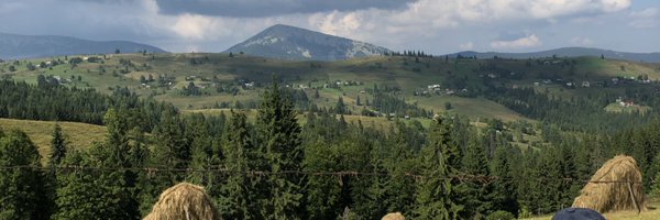 NelyaMel Profile Banner
