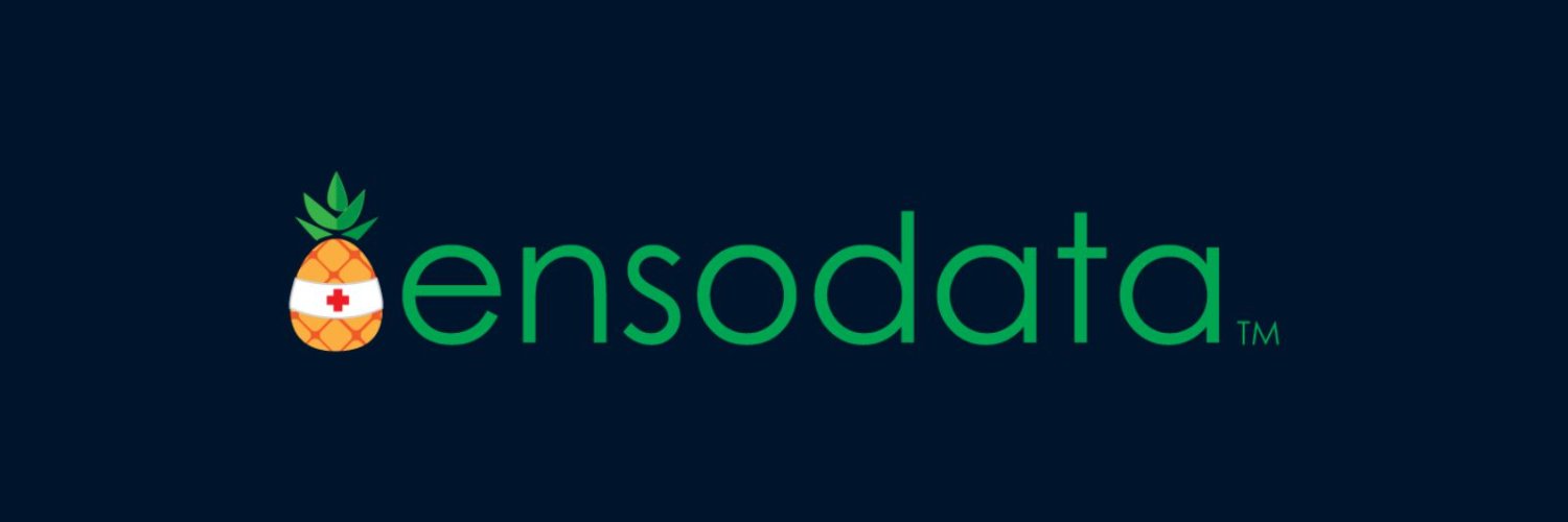 EnsoData banner