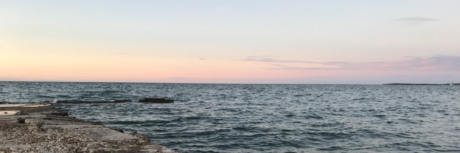 pautuits's profile banner image