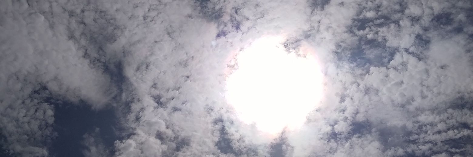 Luliimalondra19's profile banner image
