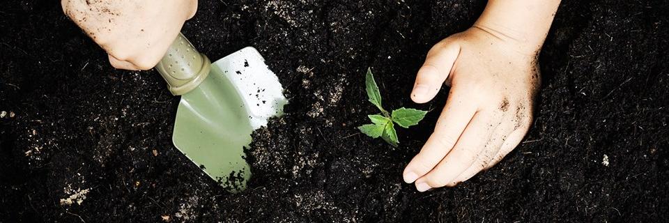 TheRootsFound's profile banner image