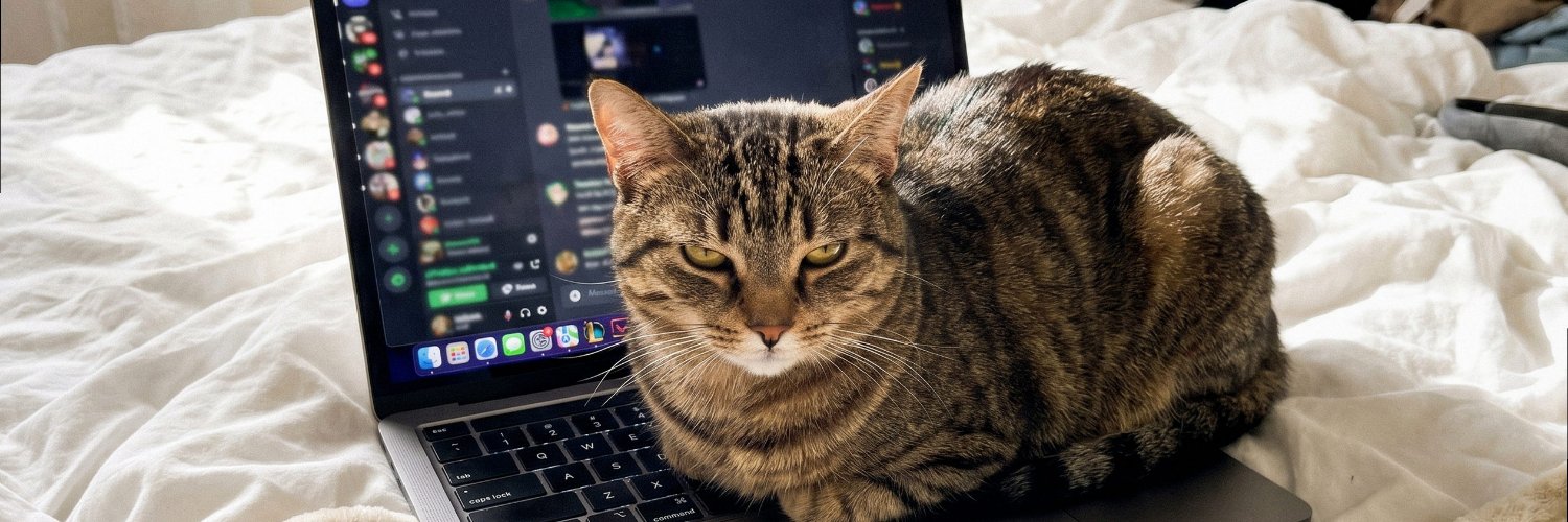 sofiskye8's profile banner image