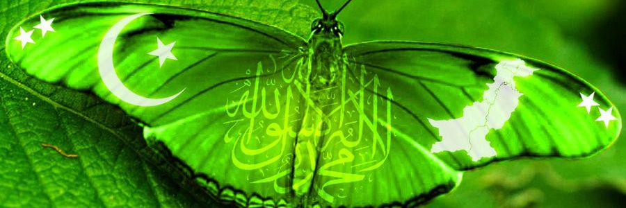 JeewayHamidMir's profile banner image