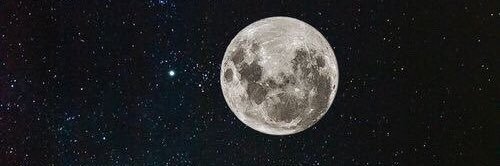 just pol 🧁 banner