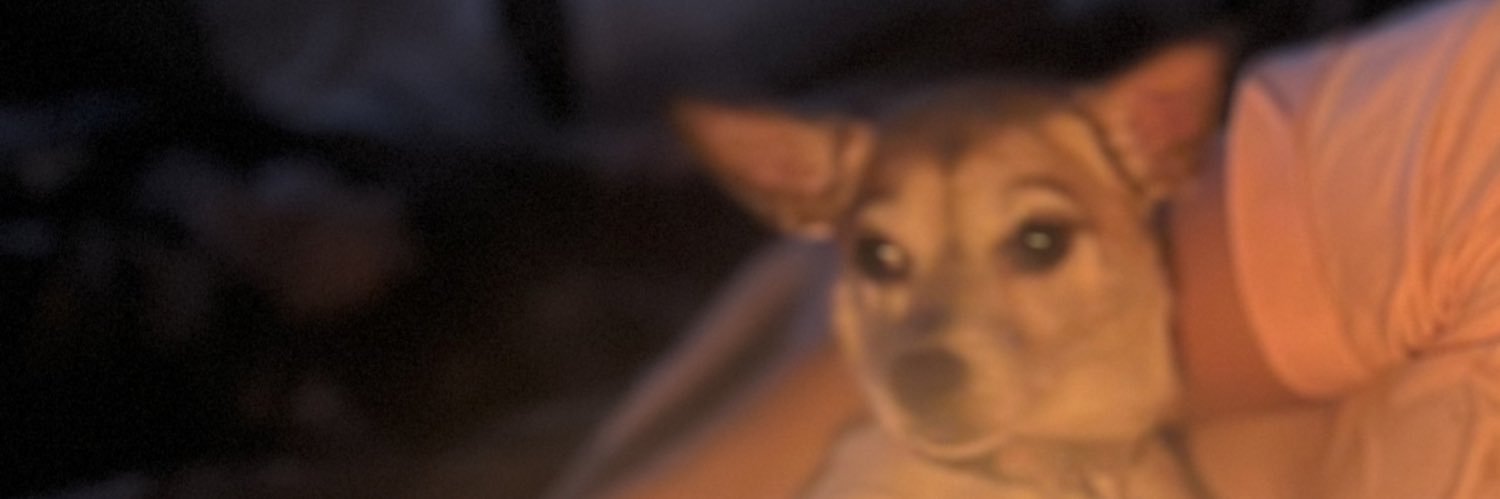 luvas_18's profile banner image