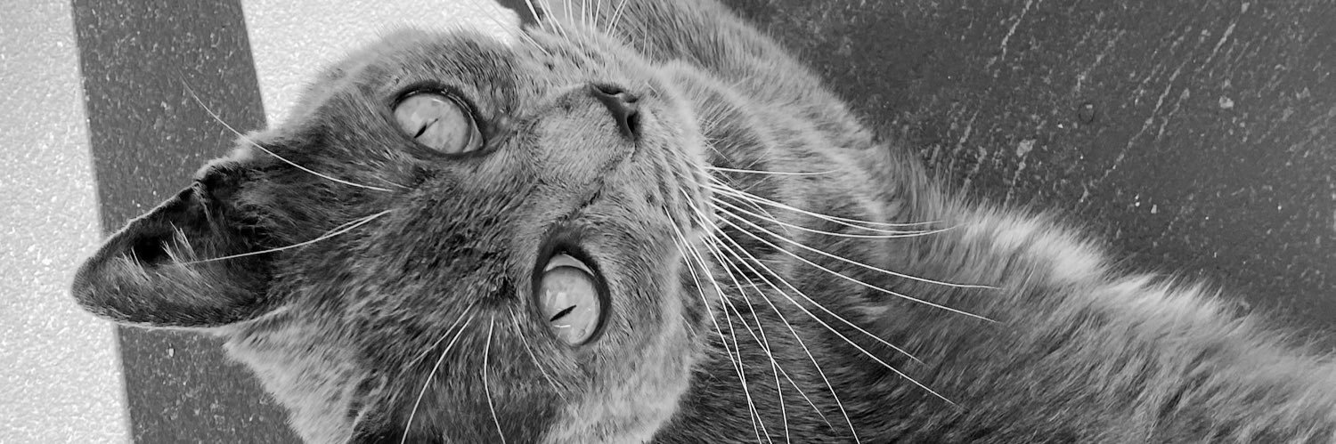 agusriosx's profile banner image