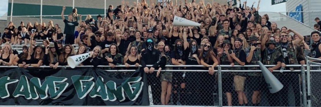 Stang Gang banner